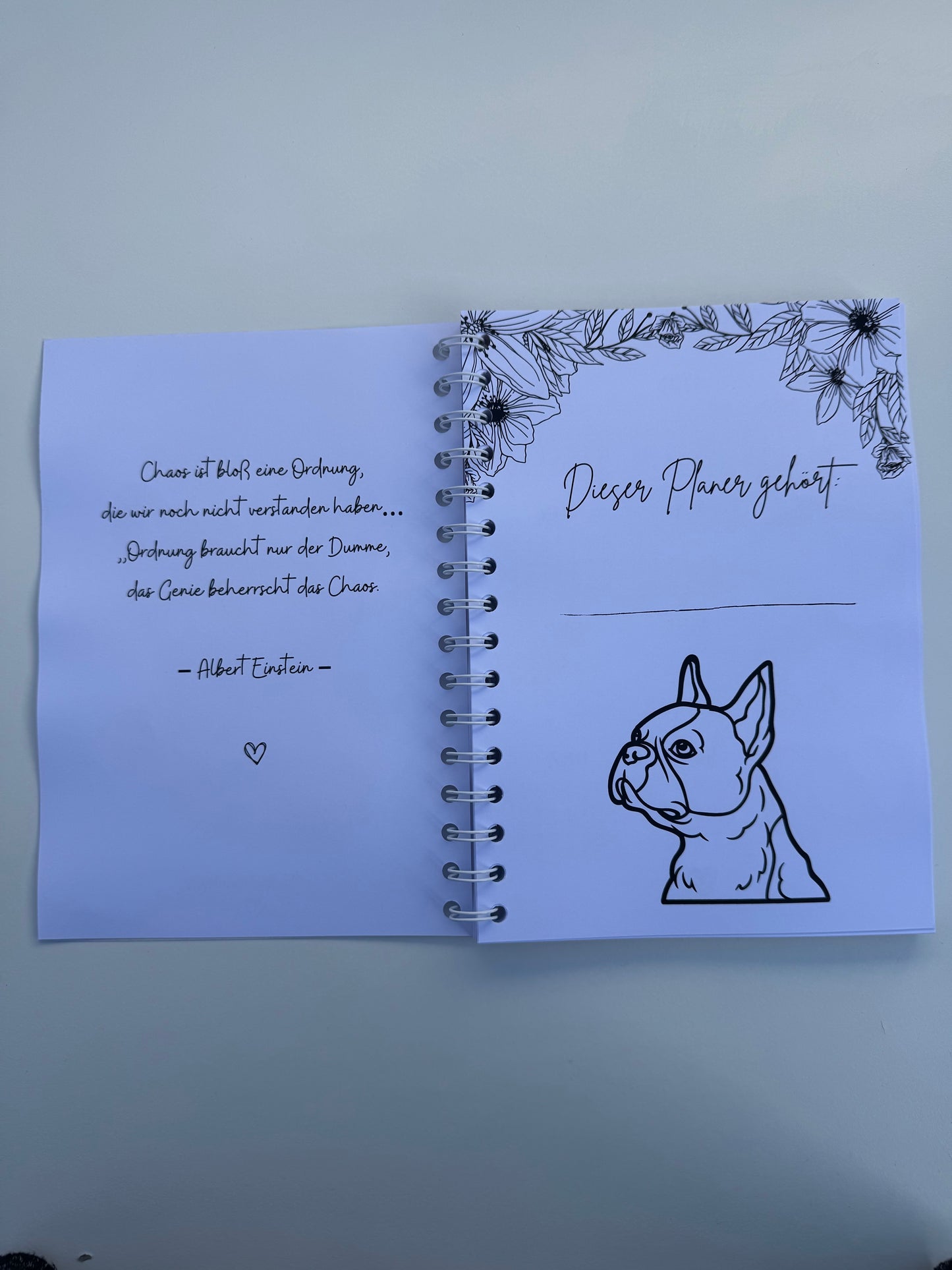 Planer French Bulldog