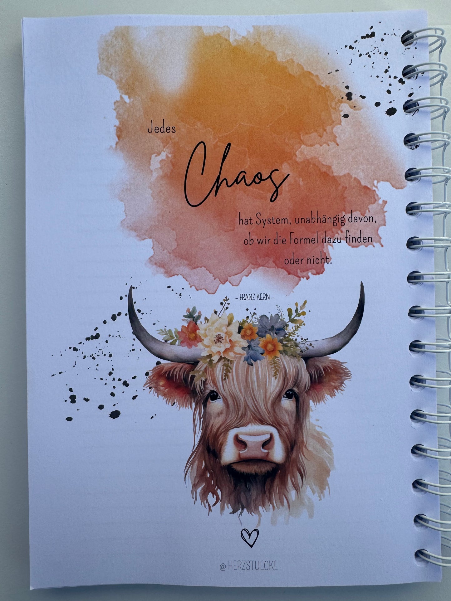 Planer Highland Cow